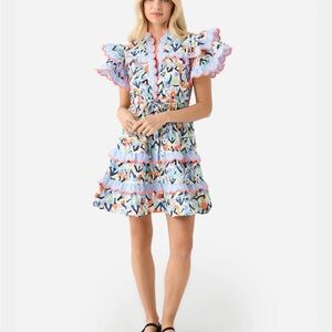 CeliaB Pink and Blue Ruffled Tiered Scalloped Caspio Dress
